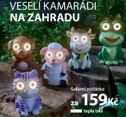 NKD Solární zvířátko nabídka