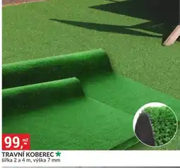 Baumax Travní koberec nabídka