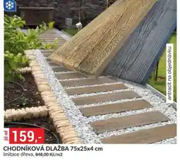 Baumax Chodníková dlažba nabídka