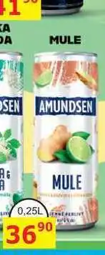 BENE Nápoje AMUNDSEN MULE 0,25L míchaný nápoj nabídka
