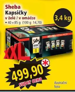 Norma Sheba Kapsičky nabídka