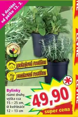 Norma BYLINKY nabídka