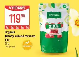 Globus Organis Jahody sušené mrazem XXL nabídka