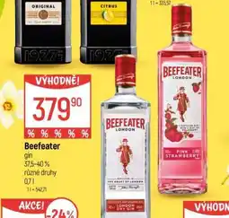 Globus Beefeater Gin nabídka