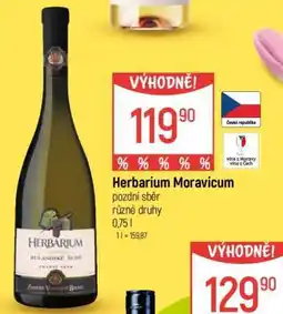 Globus Herbarium Moravicum nabídka