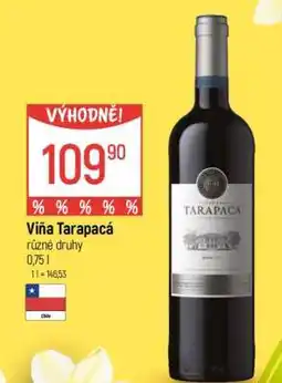 Globus Viña Tarapacá nabídka