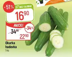 Globus Okurka hadovka nabídka