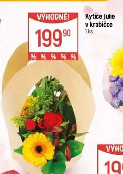 Globus Kytice Julie v krabičce nabídka