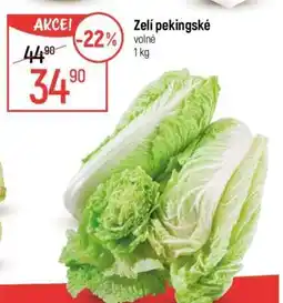 Globus Zelí pekingské nabídka