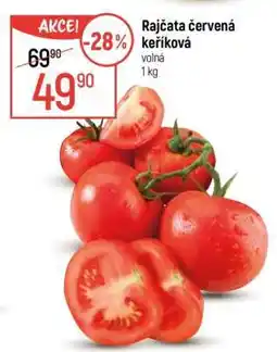 Globus Rajčata červená keříková nabídka