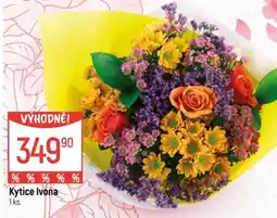 Globus Kytice Ivona nabídka