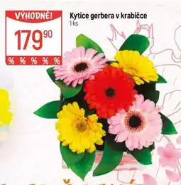 Globus Kytice gerbera v krabičce nabídka