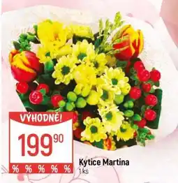 Globus Kytice Martina nabídka