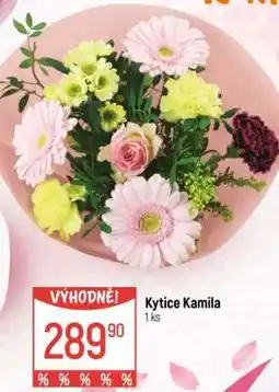 Globus Kytice Kamila nabídka