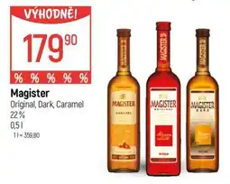 Globus Magister nabídka