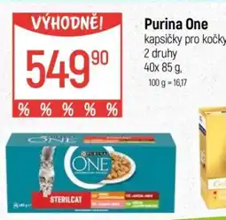 Globus Purina ONE Kapsičky pro kočky nabídka