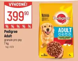 Globus Pedigree Adult nabídka