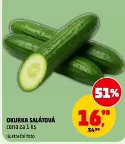 Penny Market Okurka salátová nabídka