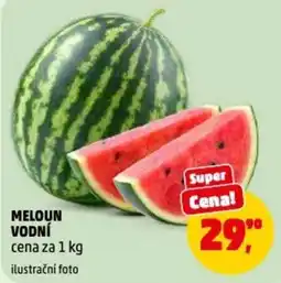 Penny Market Meloun vodní nabídka