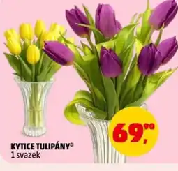 Penny Market Kytice tulipány nabídka