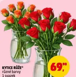 Penny Market Kytice růže nabídka