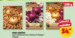 Penny Market Cibule sazečka nabídka