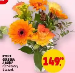 Penny Market Kytice gerbera a růže nabídka