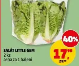Penny Market Salát little gem nabídka