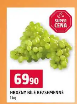 Terno HROZNY BÍLÉ BEZSEMENNÉ nabídka