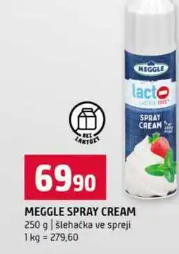 Terno MEGGLE SPRAY CREAM 250 g šlehačka ve spreji nabídka