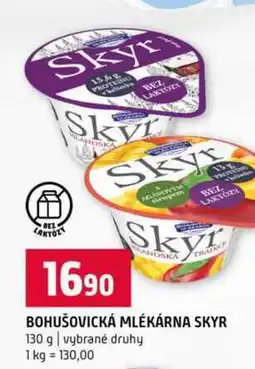 Terno BOHUŠOVICKÁ MLÉKÁRNA SKYR 130 g vybrané druhy nabídka