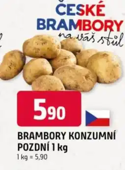 Trefa Brambory konzumní pozdní nabídka