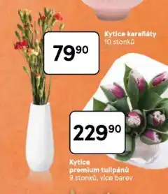 Tesco Kytice karafiáty nabídka