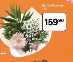 Tesco Kytice pozdrav nabídka