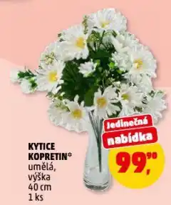 Penny Market Kytice kopretin nabídka