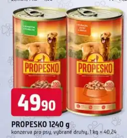 Trefa PROPESKO nabídka