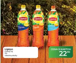 Tamda Foods Lipton Ledový čaj nabídka