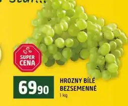 Terno HROZNY BÍLÉ BEZSEMENNÉ nabídka