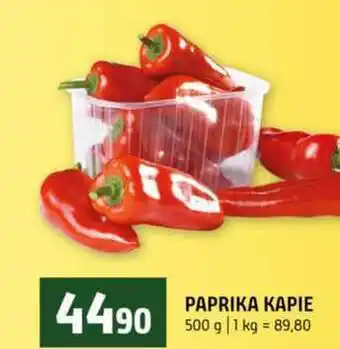 Terno PAPRIKA KAPIE nabídka