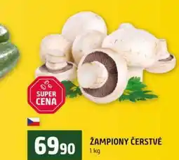 Terno ŽAMPIONY ČERSTVÉ nabídka