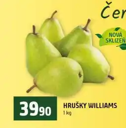 Terno HRUŠKY WILLIAMS nabídka