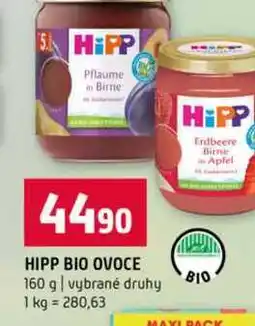 Terno HIPP BIO OVOCE 160 g vybrané druhy nabídka