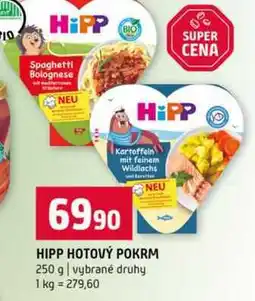 Terno HIPP HOTOVÝ POKRM 250 g vybrané druhy nabídka