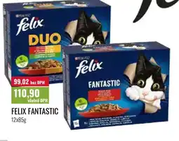 Ratio Felix Fantastic nabídka
