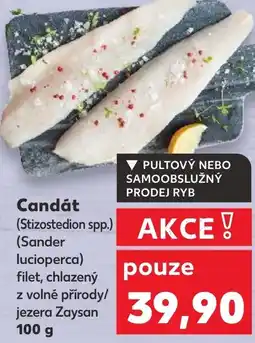 Kaufland Candát nabídka