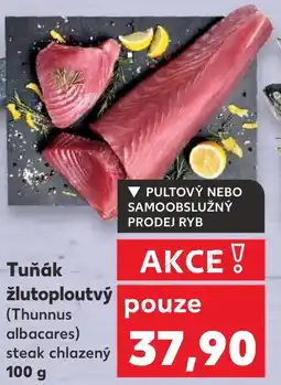 Kaufland Tuňák žlutoploutvý nabídka