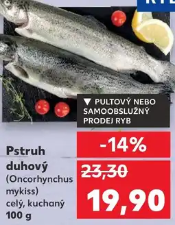 Kaufland Pstruh duhový nabídka