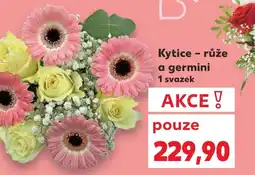 Kaufland Kytice - růže a germini nabídka
