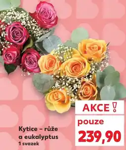 Kaufland Kytice - růže a eukalyptus nabídka