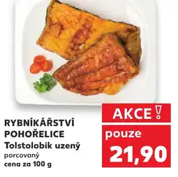 Kaufland RYBNÍKÁŘSTVÍ POHOŘELICE Tolstolobik uzený nabídka